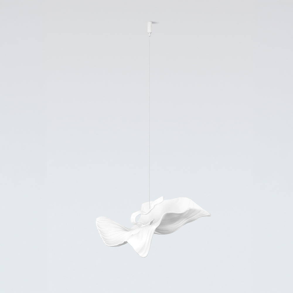 ARIA CADENZA MEDIUM ACCESSORY
