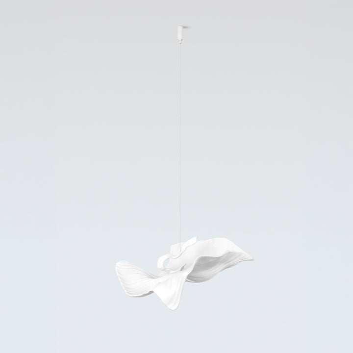 ARIA CADENZA MEDIUM ACCESSORY
