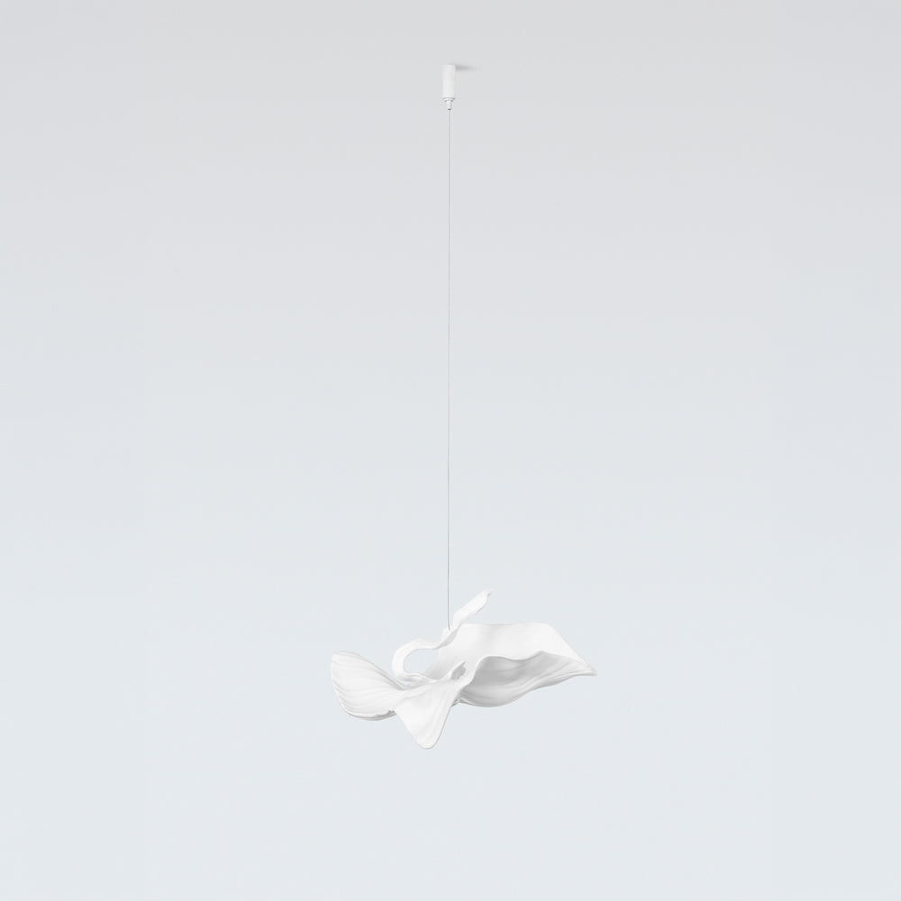 ARIA CADENZA SMALL ACCESSORY