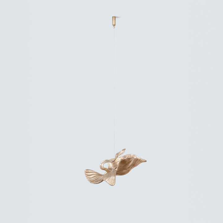 ARIA CODA SMALL ACCESSORY