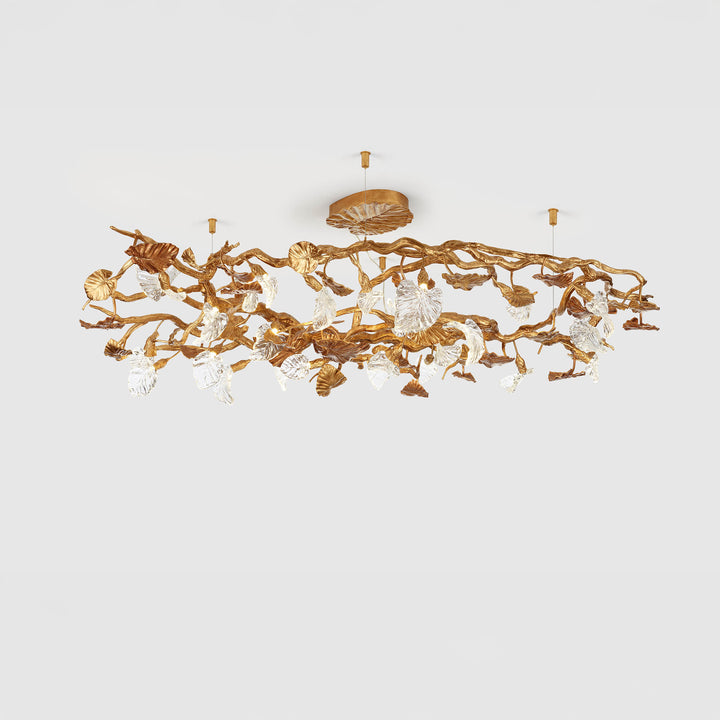 Calathea Lancifolia Chandelier