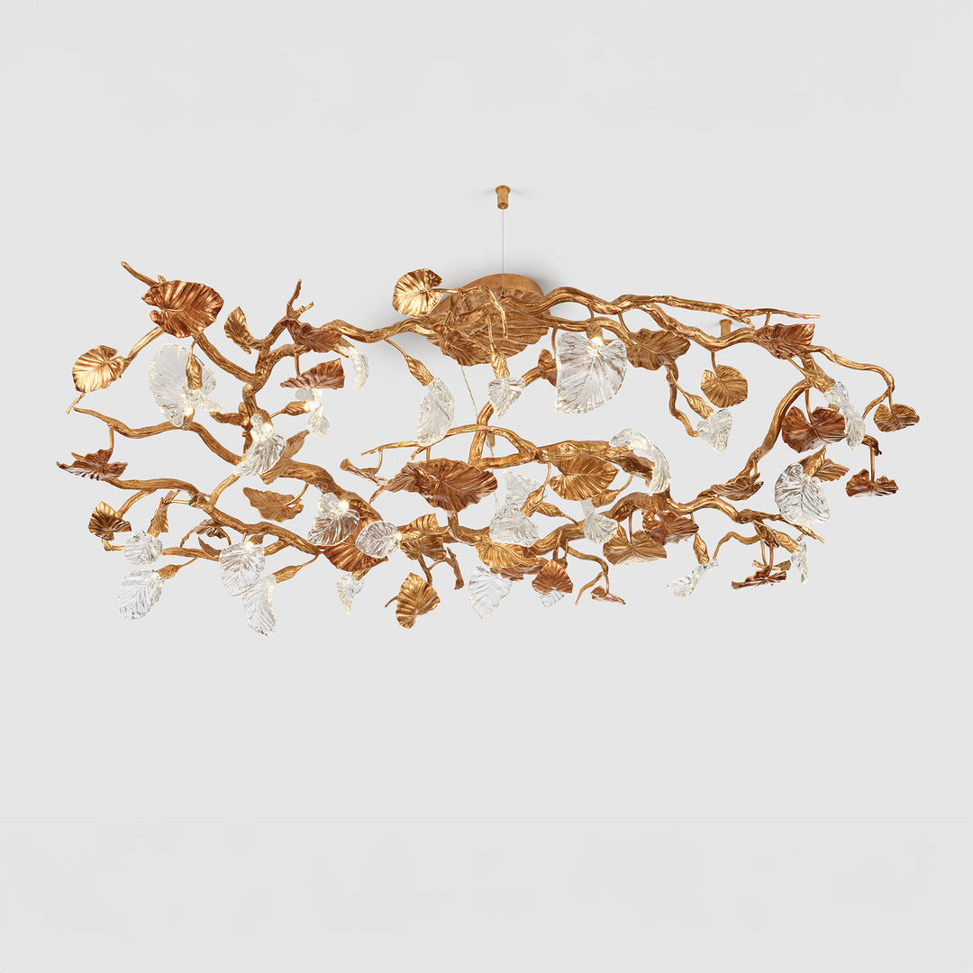 Calathea Lancifolia Chandelier