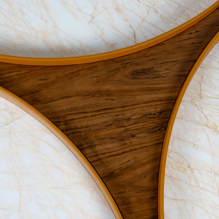 Spider Center Table