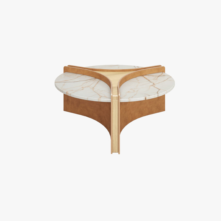 Spider Center Table