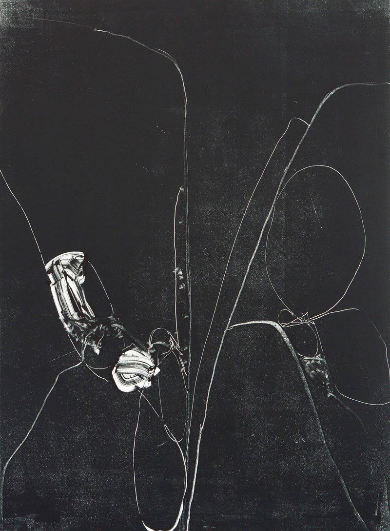 LARGE YOSEMITE, DRAWING NO. 17