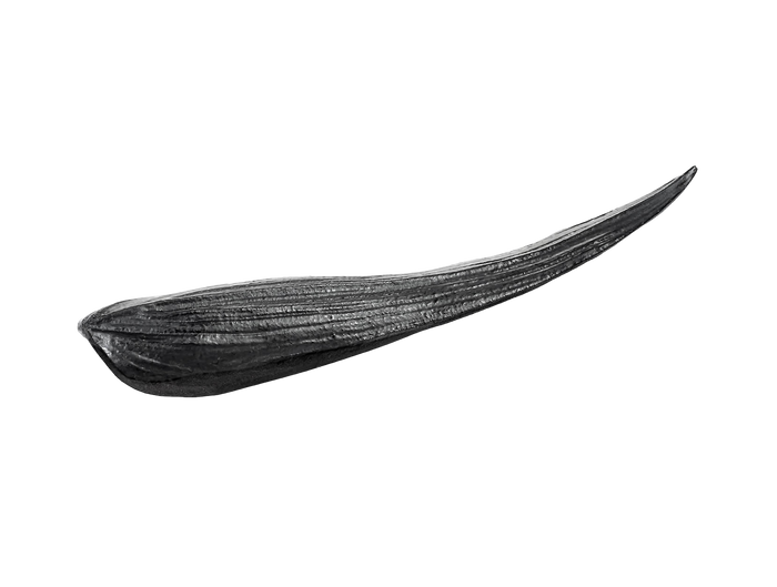 PR - Black