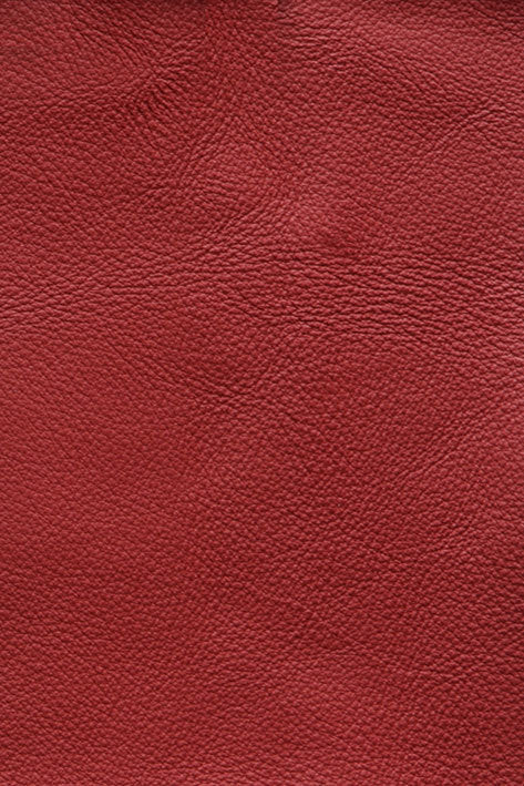 CFMAT:casadesus-leather-nuvola-161