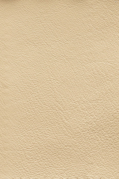CFMAT:casadesus-leather-nuvola-176