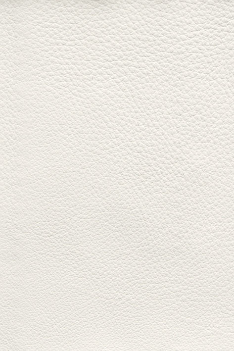 CFMAT:casadesus-leather-nuvola-2192