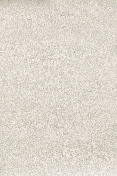 CFMAT:casadesus-leather-nuvola-179
