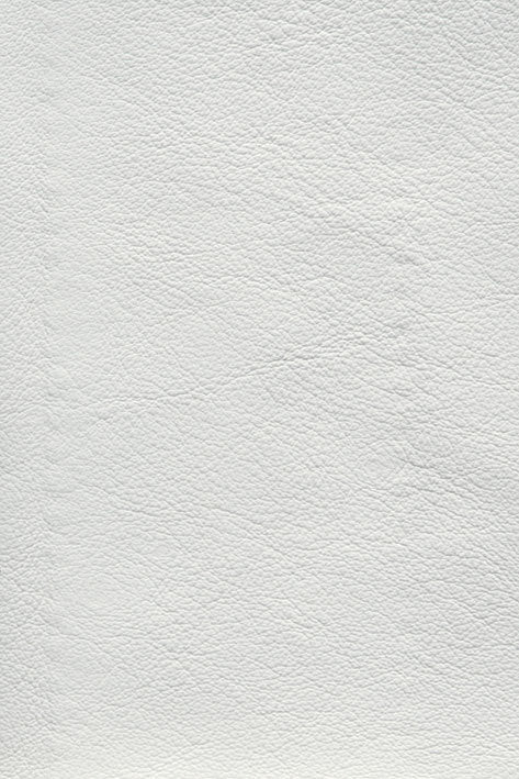 CFMAT:casadesus-leather-nuvola-2248