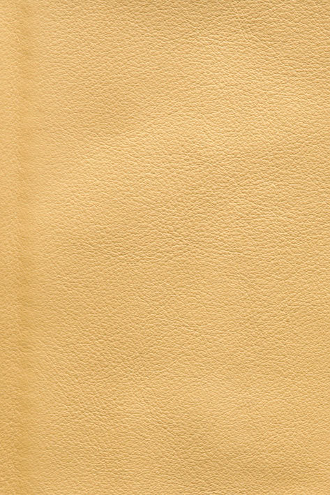 CFMAT:casadesus-leather-nuvola-148