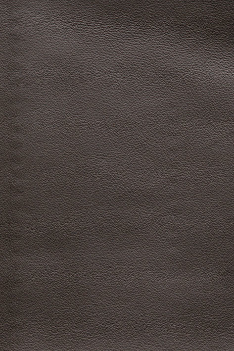 CFMAT:casadesus-leather-nuvola-147