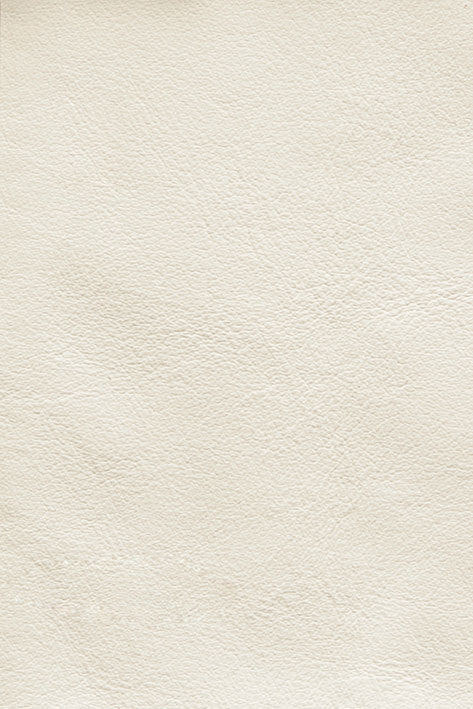 CFMAT:casadesus-leather-nuvola-158