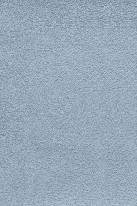 CFMAT:casadesus-leather