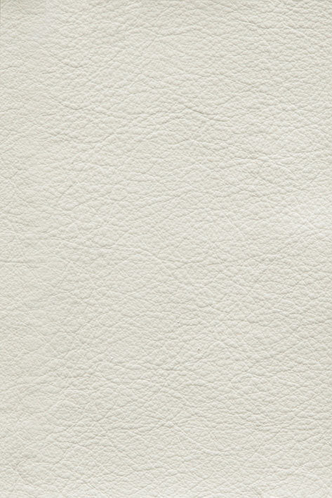 CFMAT:casadesus-leather-nuvola-2042