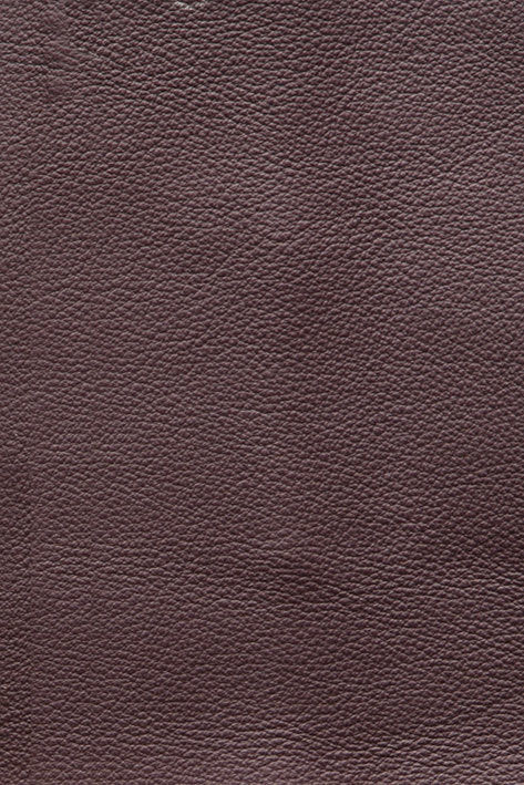 CFMAT:casadesus-leather-nuvola-2110