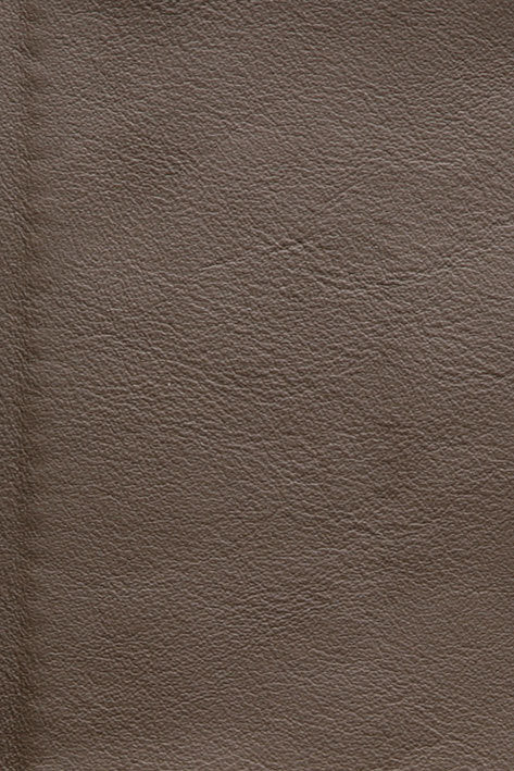 CFMAT:casadesus-leather-nuvola-175