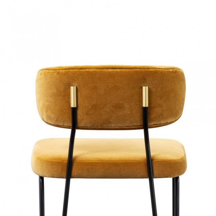 Apollo Counter-Stool